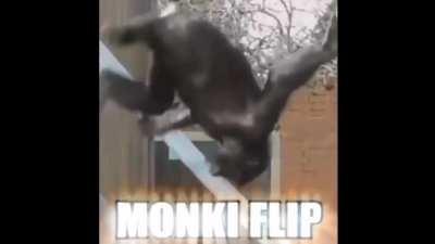 Monki flip Monki flip
