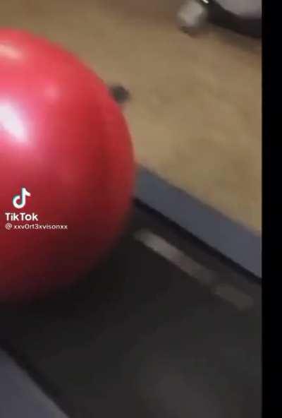 Found this beautiful video on TikTok today