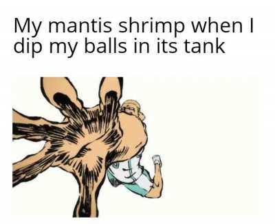 I can no longer feel anything below my waist