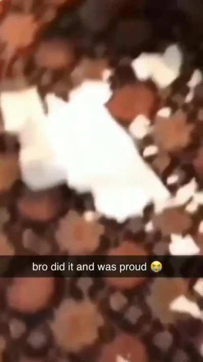 Australian painter reference 