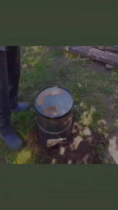 To cook chicken