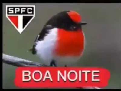 Boa noite