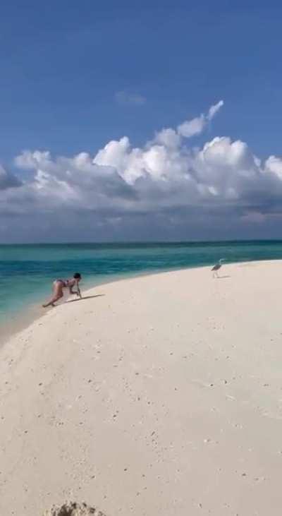 Миллионы лет эволюции