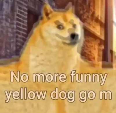 No more funny yellow dog