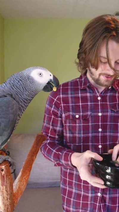 He’s never seen a millipede