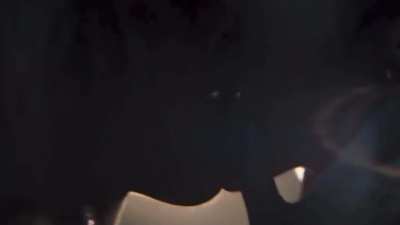 Margot Robbie kissing women 