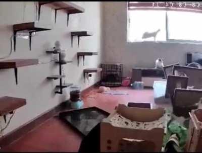 The definition of this sub