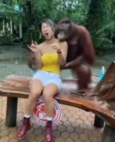 INtEr speCiES dAtE EXperImeNT Goes WROnG ...