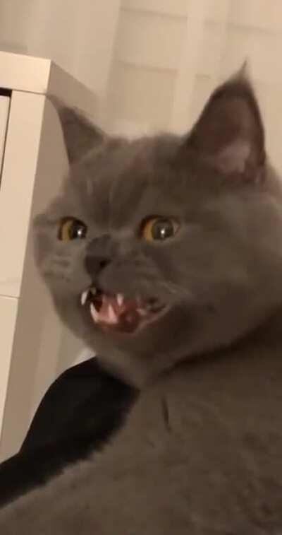 My people need me [quite, sound up]