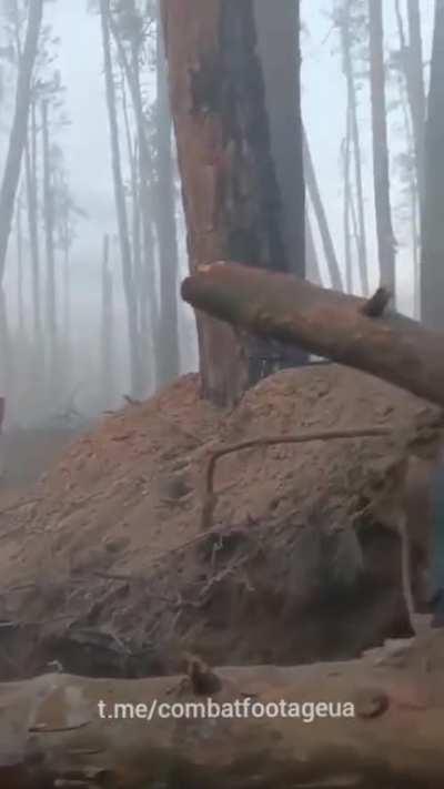 The atmosphere in the forests near Kreminna, Luhansk region. The video was shot by a Ukrainian soldier.