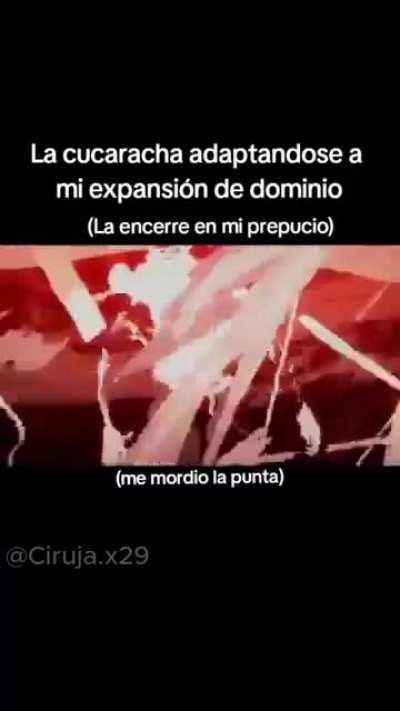 Pero qué es ésta m*erd4 ☠️☠️☠️