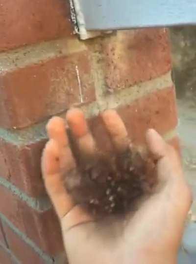 When the DPH kicks in