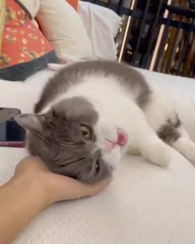 Rrrrrrnmnyuh! Mrrrmmnyerrh.