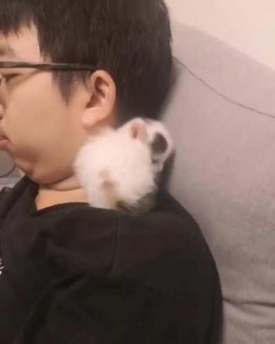 Finding The Best Spot To Sleep