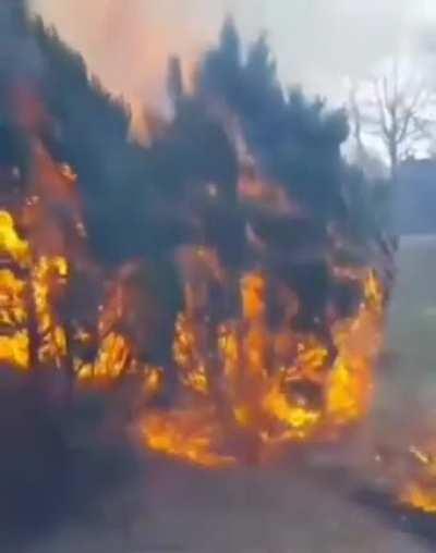 Guy sets some grass on fire then learns that fire can spread, the hard way