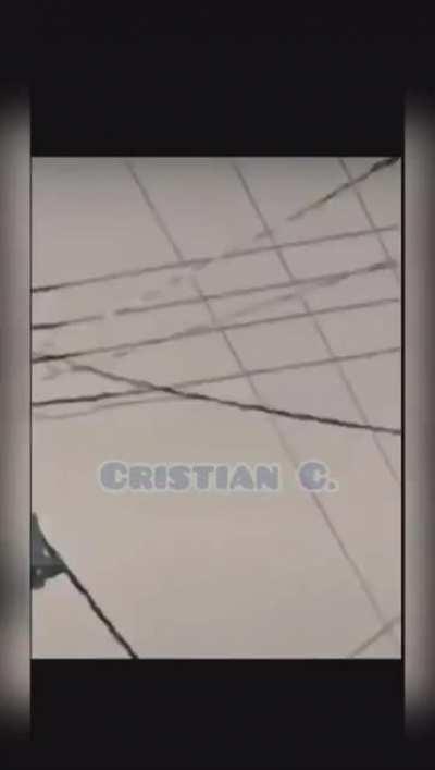 Él gallo con crocks