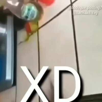 que loco como sushi con limon tomate y aceite