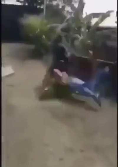 what the hell is happening