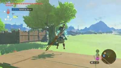 [Tears of the Kingdom] I made this from a magic tree!