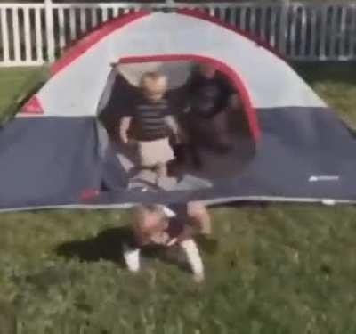 Who is more stupid ?