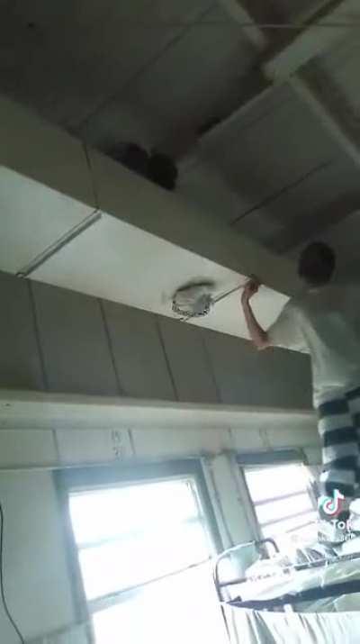 The end reminds me of a fire fighter trying to get a scared kitten out of a tree