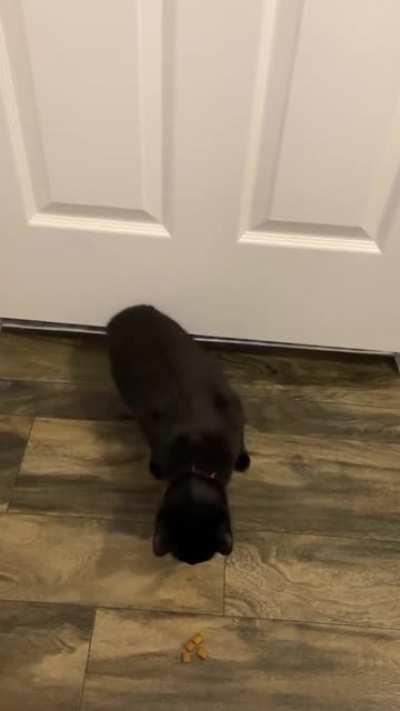 How is this even possible?