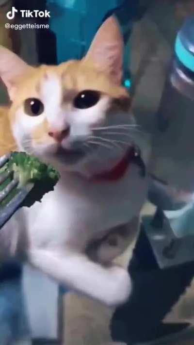 Why did he sound like that?!