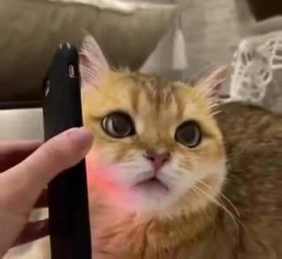 Чего только бухой не наговоришь