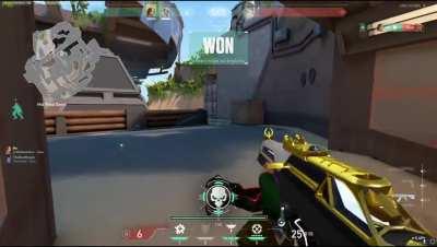 Skye saved from the jaws of death by her pet