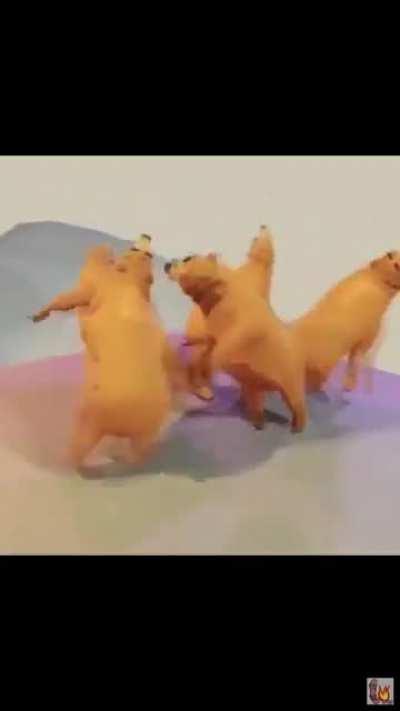 My brain when Jeff’s explaining a challenge