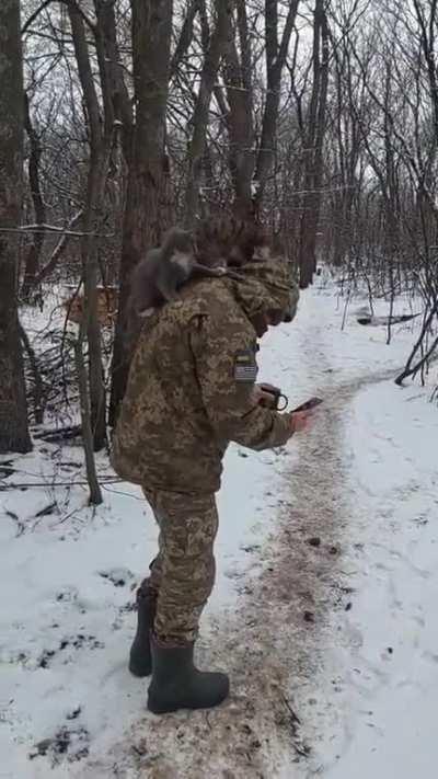 How to Catfight in Ukraine (It's all about the defender!)