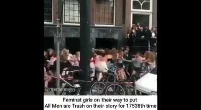 Fake feminist on their way