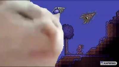 made a catJAM for underground corruption theme.