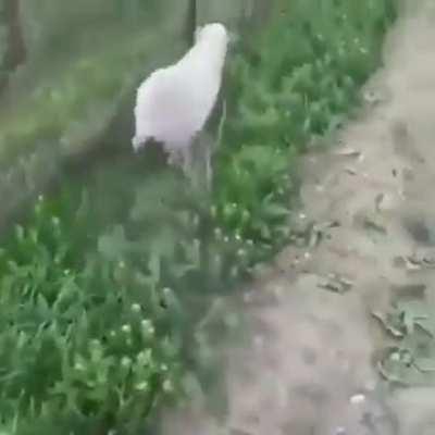 Couldn't believe my eyes...