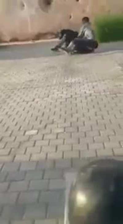 Slapping a dog in the face with a tree branch.