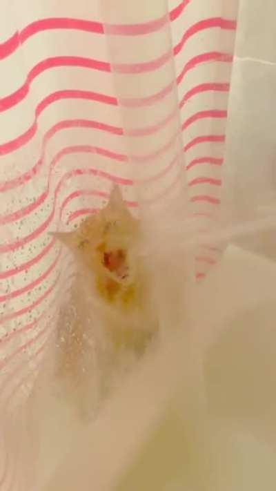 Shower Buddy 3000 ordered from Amazon is malfunctioning