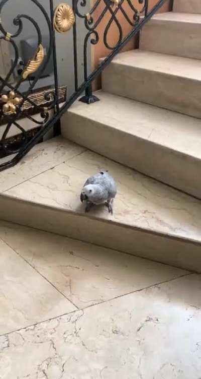 So i got attacked today..