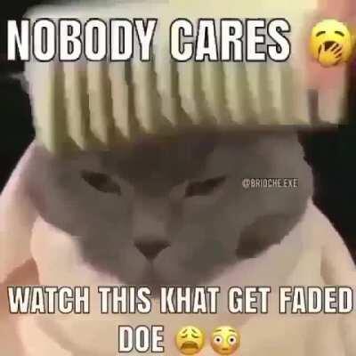 Local Cat Gets Faded