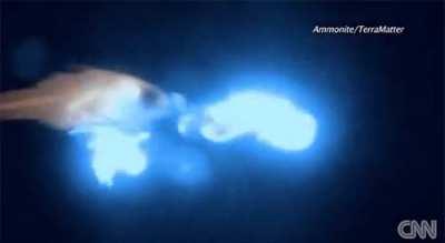 Fizzard, the fish wizard