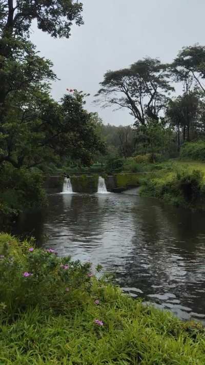 Nelliyampathy View Point ഇല്‍ നിന്ന് തിരിച്ച് ഇറങ്ങി വരുമ്പോൾ ഉള്ള കാഴ്ച