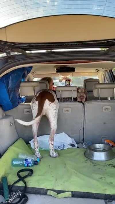 got a bit stuck but it’s all good