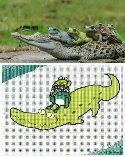 No title, just gator