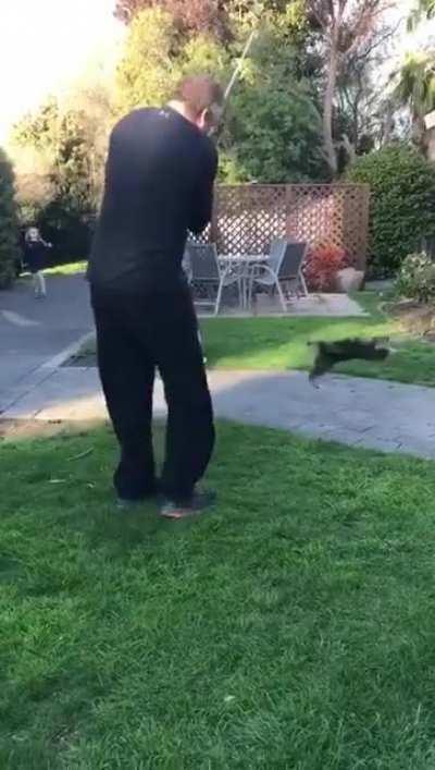 How much fore that vet bill?