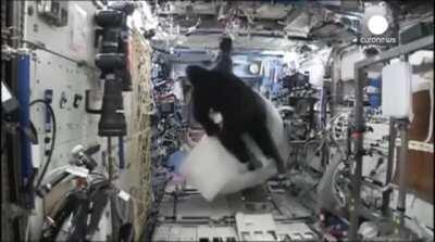 Guy in monkey suit chases another scientist in zero G