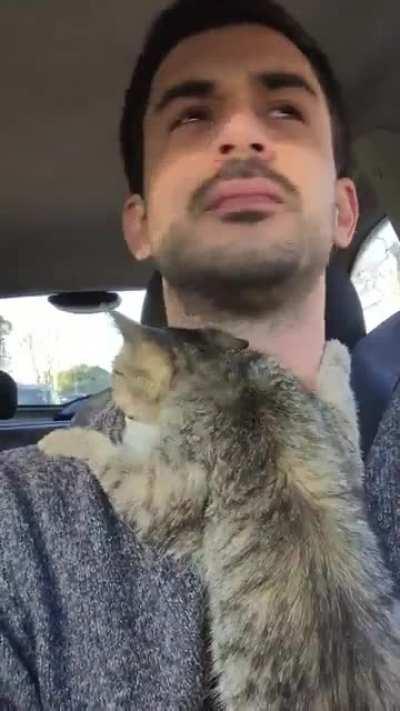 On my way home after rescuing Bruna from the streets.