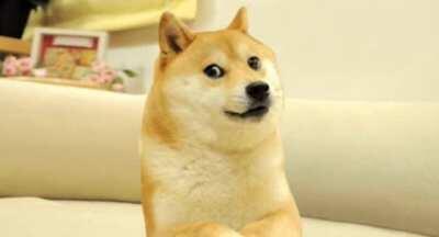 le childhood trauma has arrived