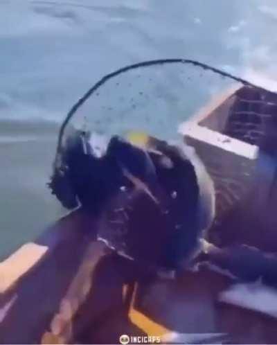 Cómo funciona el Estado