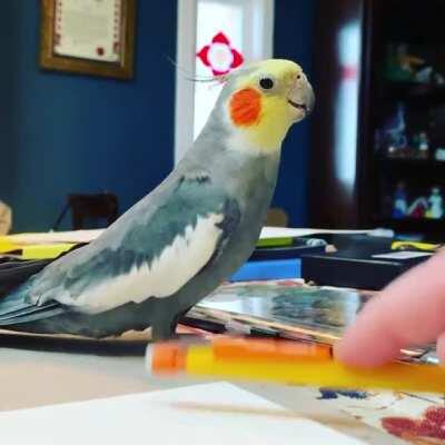 Ru is helping me draw today! Lol I love my little mimic muse ❤️ #soundon