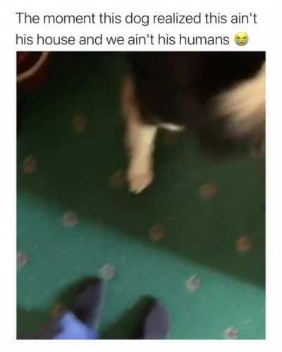 Oh sorry wrong house