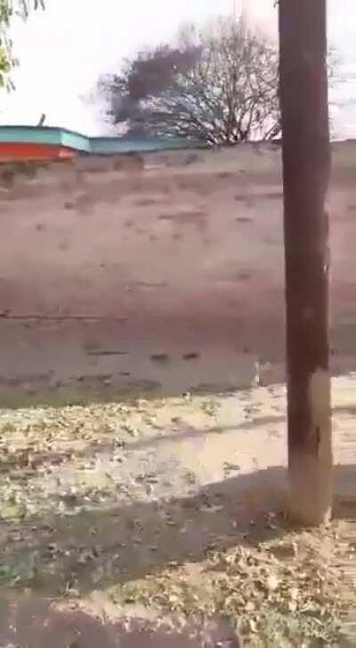 La policía se llevó detenida a la folklorista Roxana Carabajal por estar en la puerta de su casa